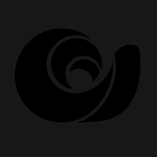 foto perfil foto perfil